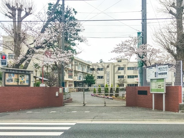 小学校(490m)-横浜市立大道小学校